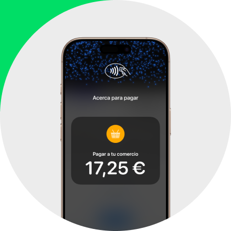 App Smartphone TPV App Smartphone TPV