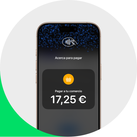 App Smartphone TPV App Smartphone TPV